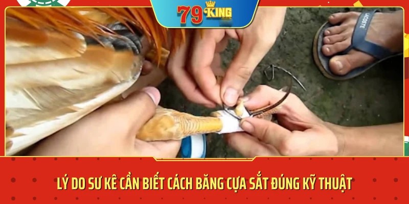 Hướng dẫn cách băng