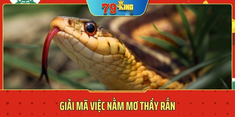 nằm mơ thấy rắn