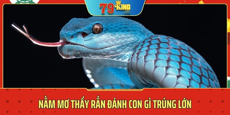 Nằm mơ thấy rắn